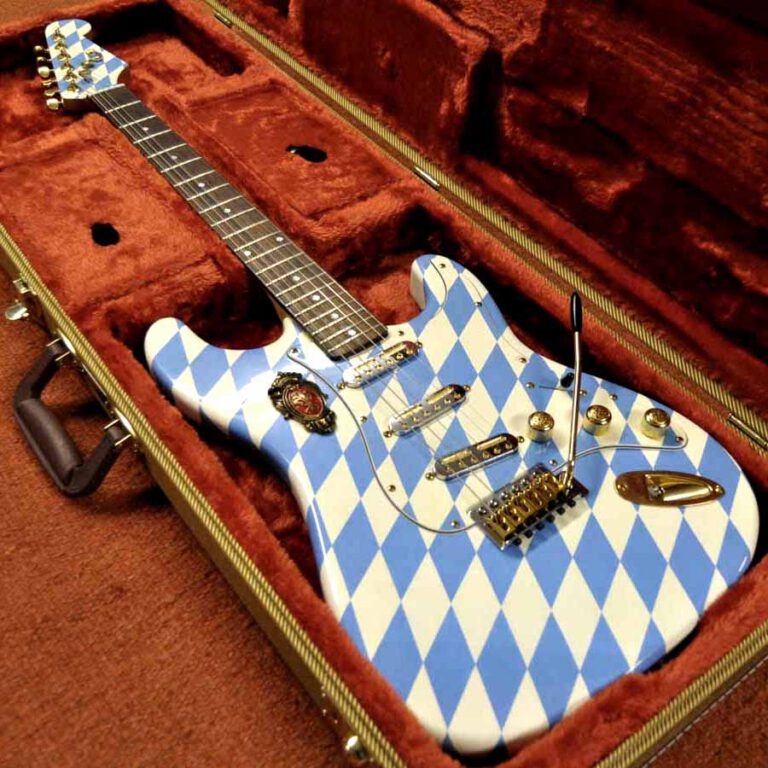 Stratocaster Case