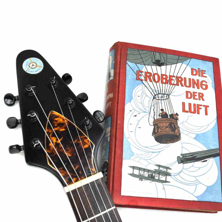 Die Eroberung der Luft