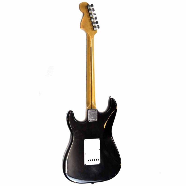 Fender Blackie Back